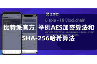 比特派官方  举例AES加密算法和SHA-256哈希算法