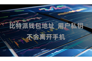 比特派钱包地址  用户私钥不会离开手机