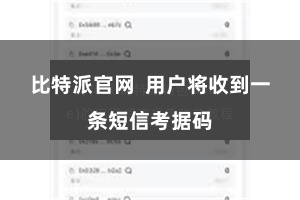比特派官网  用户将收到一条短信考据码