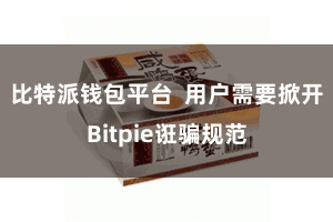 比特派钱包平台  用户需要掀开Bitpie诳骗规范
