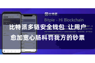 比特派多链安全钱包  让用户愈加宽心肠科罚我方的钞票